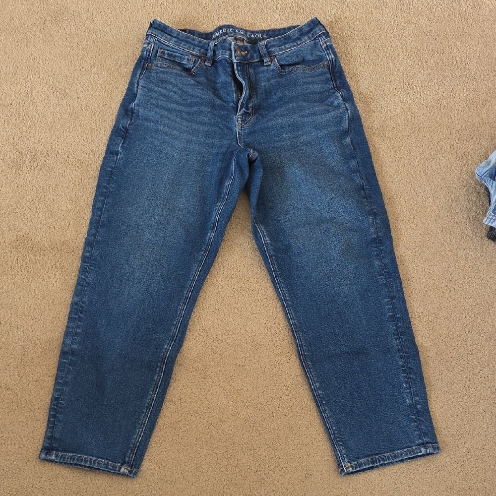 American Eagle Outfitters Mom Jean Dark Blue, Women's Size 10 Short